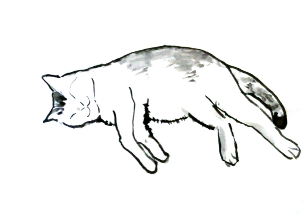 猫墨絵小野健治イラストレーター画家